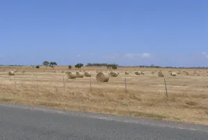 ACS - Open, flat agricultural fields