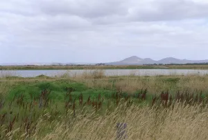 ACS - Views towards Avalon Airport from the WTP, with longer range open views to Wurdi Youang