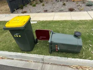 Bin Wind Rethink - Managing your bin in windy weather