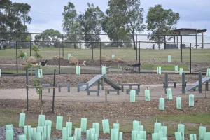 Hovells Creek Public Recreation Reserve
