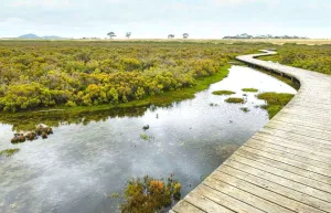 Hovells Creek