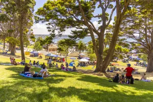 Eastern Beach Reserve picnic area