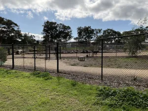 Belmont Park