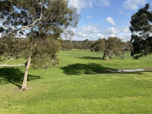 Moorabool and Barwon River Reserve (Fyansford Common)