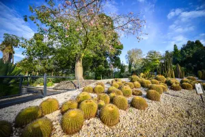 Geelong Botanic Gardens