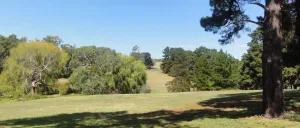 Edsall Reserve