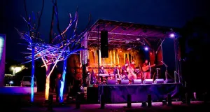 Arts Night - Public art