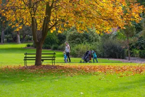 Image for About Geelong Botanic Gardens