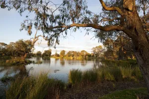 The beautiful Balyang Sanctuary in Newtown