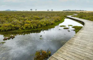 Hovells Creek Trail takes you from Limeburners Point in Corio through to the township of Lara.
