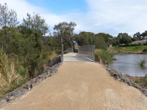 Close Up Of Two Bridges Ii - Procurement for innovation