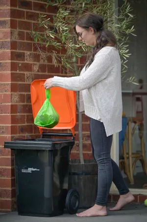 Kayla emptying the waste from the kitchen cabby to the new orange-lidded bin.