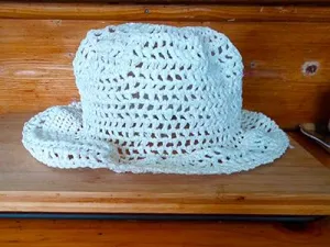 Plastic hat