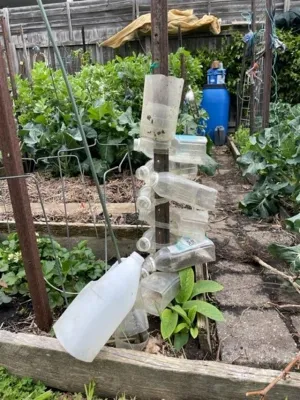 Reuse in the garden