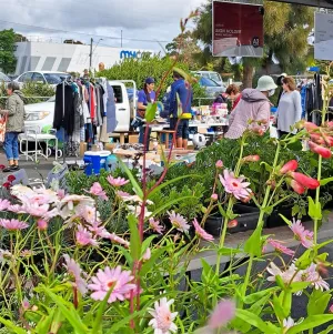 Belmont Market Plant Stall - Getting to the Belmont Market