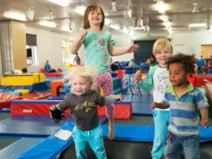 Picture1 - Gymnastics at BASC