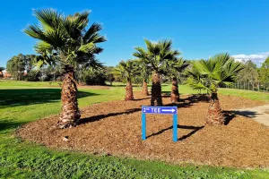 Image for About Balyang Par 3