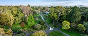 Aerial view of the Geelong City Botanical Rose Garden