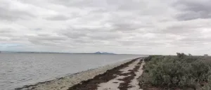 Point Henry Foreshore Reserve