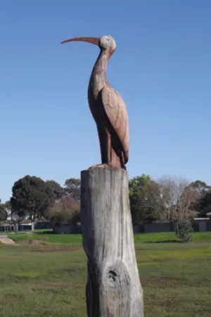 bird