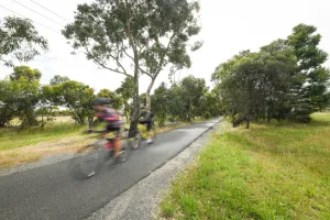 Cyclists riding on Bellarine Rail Trail in Leopold.
