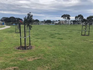 Parkfield Boulevard Park