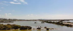 Avalon Wetland