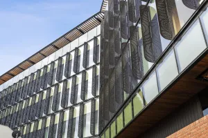 Civic precinct - windows