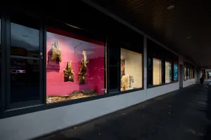 Image of artwork in the Yarra Street Window Gallery