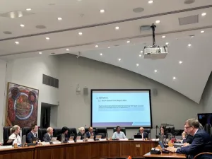 Young person sitting amongst councillors making a presentation