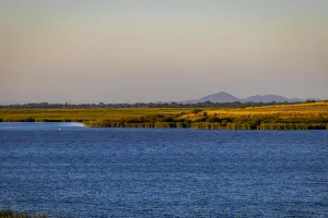 Lake Connewarre