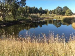Moorabool
