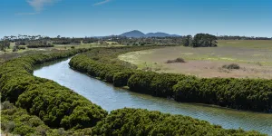 Mangroves growing either side of Hovells Creek with You Yangs in the background
