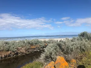 Point Wilson