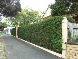 8db8f57b3e55c29-fences33.jpg