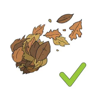 leaves - yes leaves - yes