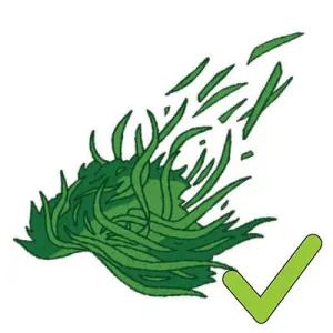 grass clippings - yes grass clippings - yes