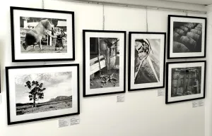 Framed, black and white photographs on a gallery wall