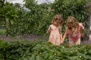 Two children looking at plants at the Geelong Botanic Gardens.