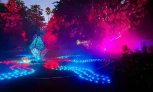 Image of pink and blue lighting 