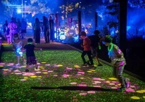 The Geelong Botanic Gardens will be lit up during the Winter School Holidays The Geelong Botanic Gardens will be lit up during the Winter School Holidays