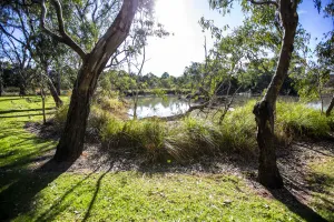 Greener future taking shape through City's environmental action