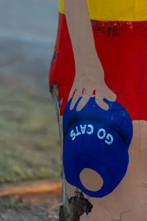 Painted cap of reading Go Cats on boallard