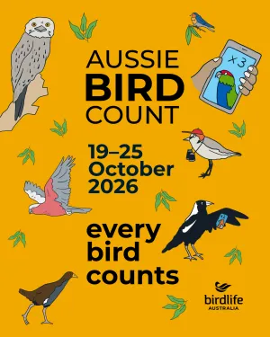 Promotional flyer for the Aussie Bird Count from 19 25 October 2026