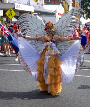 Woman in cultural butterfly outfit
