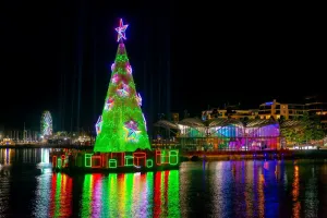 Floating Christmas Tree in 2018