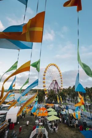 Festival Vibes