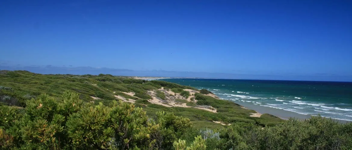 Buckley Park Foreshore Reserve