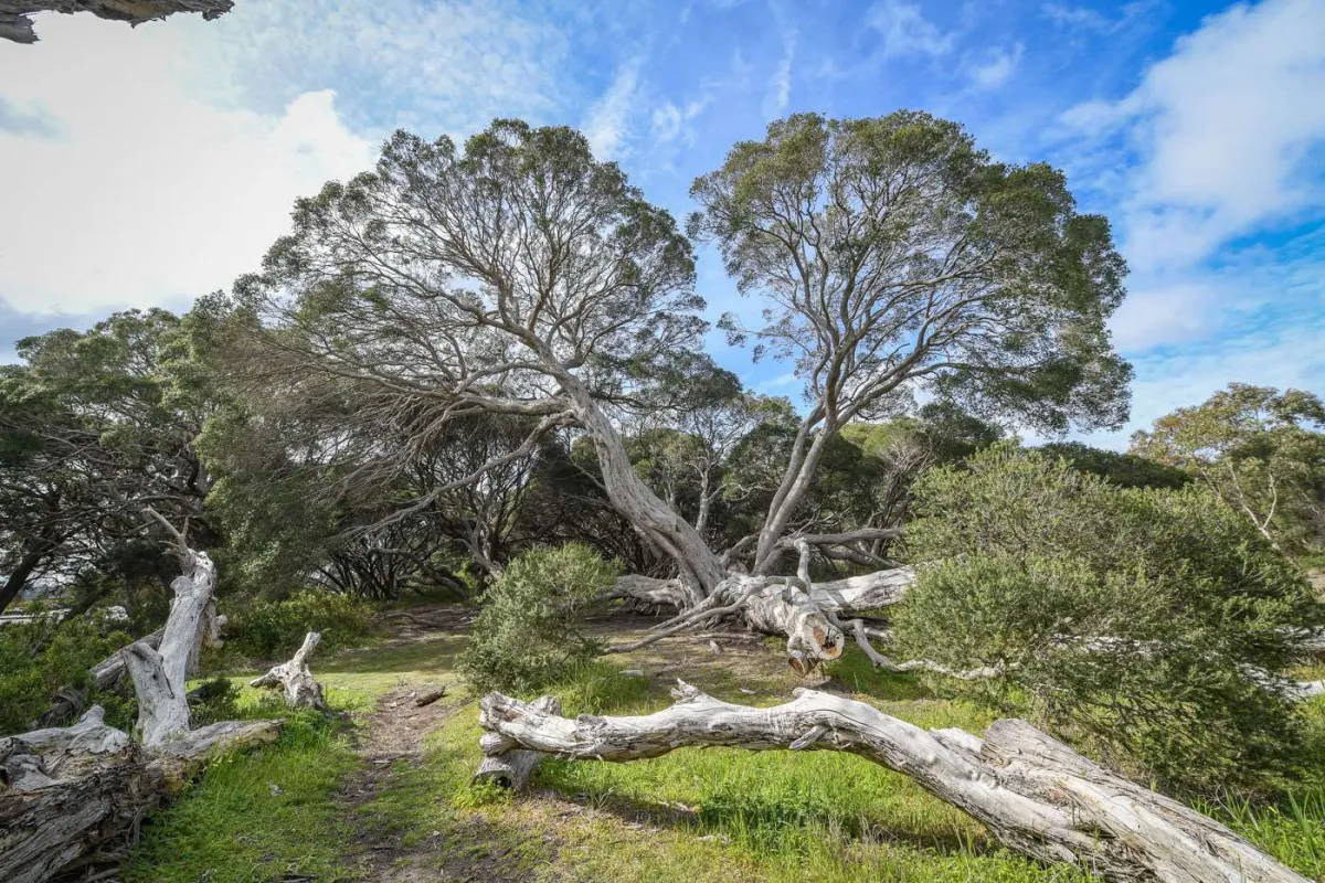 Image for Moonah Park