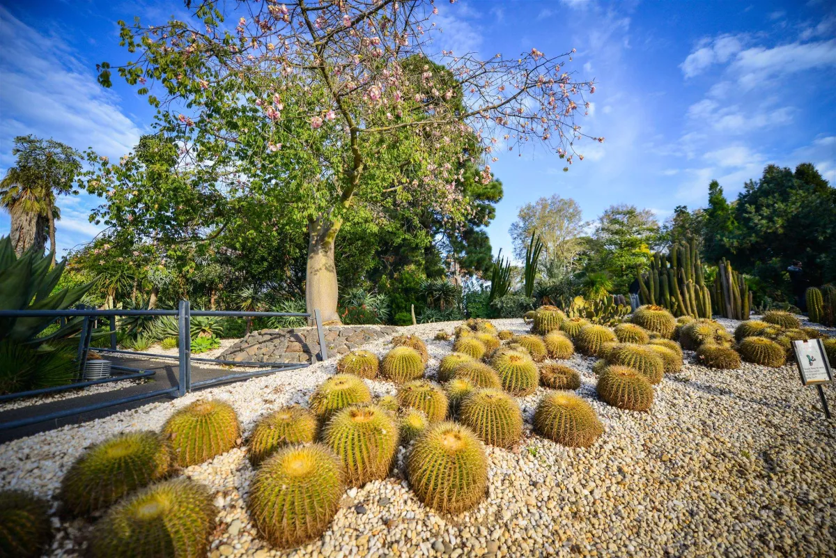 The Geelong Botanic Gardens